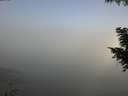 ./images/koeye/fitz-hugh/20200911/fitz-hugh20200911_102002.jpg