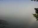 ./images/koeye/fitz-hugh/20200911/fitz-hugh20200911_104002.jpg