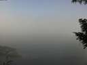 ./images/koeye/fitz-hugh/20200911/fitz-hugh20200911_111502.jpg