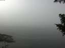 ./images/koeye/fitz-hugh/20200911/fitz-hugh20200911_114501.jpg