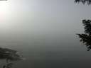 ./images/koeye/fitz-hugh/20200911/fitz-hugh20200911_115001.jpg