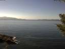 ./images/koeye/fitz-hugh/20200911/fitz-hugh20200911_140002.jpg