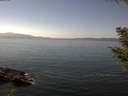 ./images/koeye/fitz-hugh/20200911/fitz-hugh20200911_140502.jpg