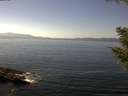 ./images/koeye/fitz-hugh/20200911/fitz-hugh20200911_141502.jpg