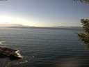 ./images/koeye/fitz-hugh/20200911/fitz-hugh20200911_144001.jpg