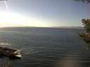 ./images/koeye/fitz-hugh/20200911/fitz-hugh20200911_145501.jpg