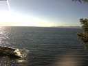 ./images/koeye/fitz-hugh/20200911/fitz-hugh20200911_150501.jpg