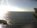 ./images/koeye/fitz-hugh/20200911/fitz-hugh20200911_154001.jpg