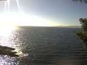 ./images/koeye/fitz-hugh/20200911/fitz-hugh20200911_154501.jpg
