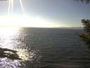 ./images/koeye/fitz-hugh/20200911/fitz-hugh20200911_155501.jpg