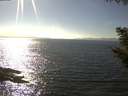 ./images/koeye/fitz-hugh/20200911/fitz-hugh20200911_160501.jpg