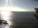 ./images/koeye/fitz-hugh/20200911/fitz-hugh20200911_161001.jpg