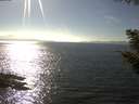 ./images/koeye/fitz-hugh/20200911/fitz-hugh20200911_161501.jpg
