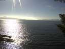 ./images/koeye/fitz-hugh/20200911/fitz-hugh20200911_162001.jpg