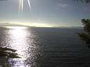 ./images/koeye/fitz-hugh/20200911/fitz-hugh20200911_162501.jpg