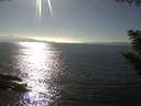 ./images/koeye/fitz-hugh/20200911/fitz-hugh20200911_163502.jpg