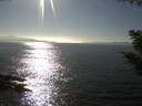 ./images/koeye/fitz-hugh/20200911/fitz-hugh20200911_164002.jpg