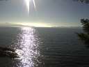 ./images/koeye/fitz-hugh/20200911/fitz-hugh20200911_164502.jpg
