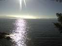 ./images/koeye/fitz-hugh/20200911/fitz-hugh20200911_165002.jpg