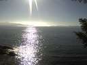 ./images/koeye/fitz-hugh/20200911/fitz-hugh20200911_165502.jpg