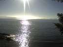 ./images/koeye/fitz-hugh/20200911/fitz-hugh20200911_170502.jpg