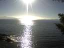 ./images/koeye/fitz-hugh/20200911/fitz-hugh20200911_171502.jpg