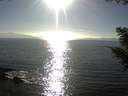 ./images/koeye/fitz-hugh/20200911/fitz-hugh20200911_172002.jpg