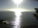 ./images/koeye/fitz-hugh/20200911/fitz-hugh20200911_172502.jpg