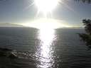./images/koeye/fitz-hugh/20200911/fitz-hugh20200911_173501.jpg