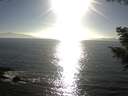 ./images/koeye/fitz-hugh/20200911/fitz-hugh20200911_174501.jpg