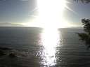 ./images/koeye/fitz-hugh/20200911/fitz-hugh20200911_175001.jpg