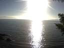 ./images/koeye/fitz-hugh/20200911/fitz-hugh20200911_175501.jpg