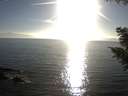 ./images/koeye/fitz-hugh/20200911/fitz-hugh20200911_180001.jpg