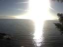 ./images/koeye/fitz-hugh/20200911/fitz-hugh20200911_180501.jpg