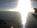 ./images/koeye/fitz-hugh/20200911/fitz-hugh20200911_181501.jpg