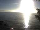./images/koeye/fitz-hugh/20200911/fitz-hugh20200911_182001.jpg