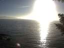 ./images/koeye/fitz-hugh/20200911/fitz-hugh20200911_182501.jpg
