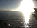 ./images/koeye/fitz-hugh/20200911/fitz-hugh20200911_183501.jpg