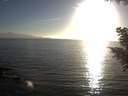 ./images/koeye/fitz-hugh/20200911/fitz-hugh20200911_184001.jpg