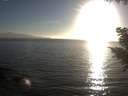 ./images/koeye/fitz-hugh/20200911/fitz-hugh20200911_184501.jpg