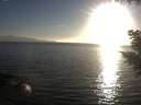 ./images/koeye/fitz-hugh/20200911/fitz-hugh20200911_185001.jpg