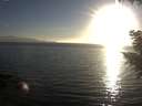 ./images/koeye/fitz-hugh/20200911/fitz-hugh20200911_185501.jpg