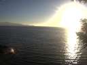 ./images/koeye/fitz-hugh/20200911/fitz-hugh20200911_190501.jpg