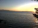 ./images/koeye/fitz-hugh/20200911/fitz-hugh20200911_194502.jpg