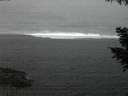 ./images/koeye/fitz-hugh/20200912/fitz-hugh20200912_062501.jpg