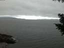 ./images/koeye/fitz-hugh/20200912/fitz-hugh20200912_063501.jpg