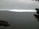./images/koeye/fitz-hugh/20200912/fitz-hugh20200912_064001.jpg