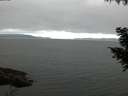 ./images/koeye/fitz-hugh/20200912/fitz-hugh20200912_064501.jpg