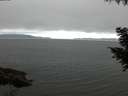 ./images/koeye/fitz-hugh/20200912/fitz-hugh20200912_065501.jpg