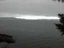 ./images/koeye/fitz-hugh/20200912/fitz-hugh20200912_071002.jpg